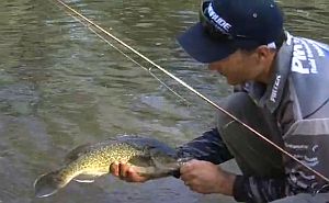 VIDEO: Fishing The Edge – Cod on sub surface lures